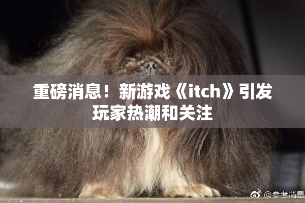 重磅消息！新游戏《itch》引发玩家热潮和关注