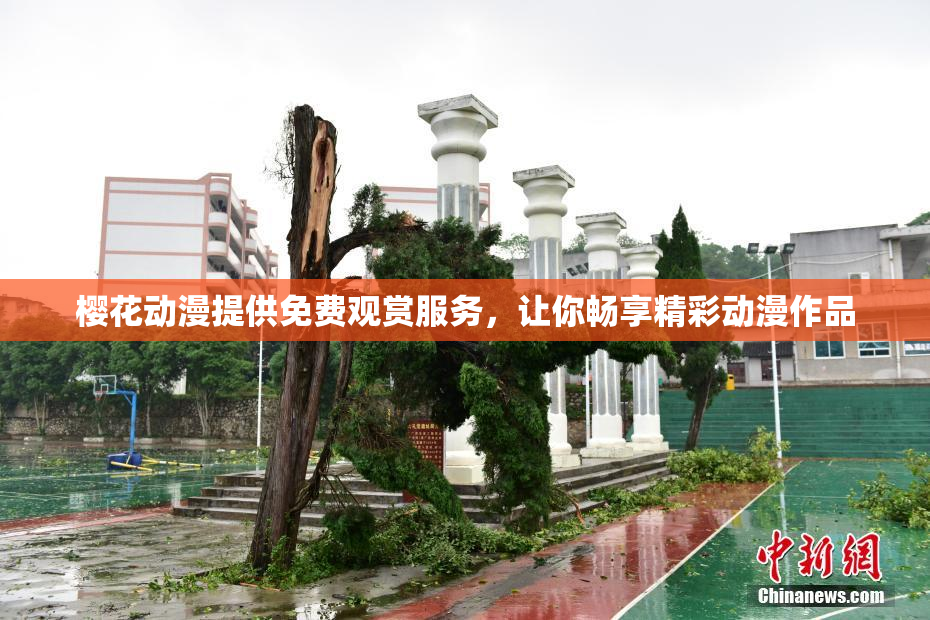樱花动漫提供免费观赏服务，让你畅享精彩动漫作品