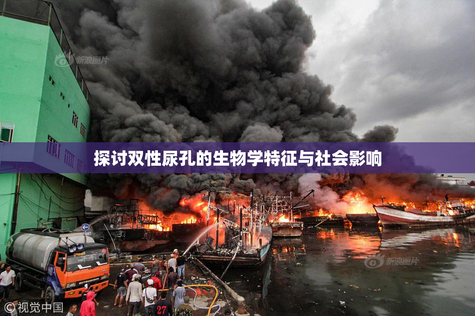 探讨双性尿孔的生物学特征与社会影响