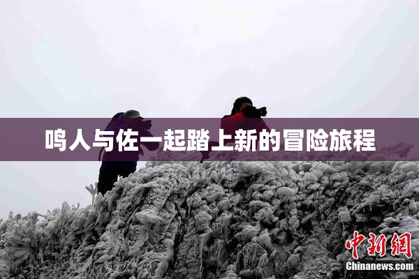 鸣人与佐一起踏上新的冒险旅程