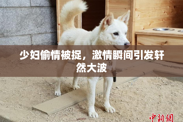 少妇偷情被捉，激情瞬间引发轩然大波