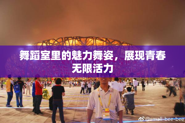 舞蹈室里的魅力舞姿，展现青春无限活力