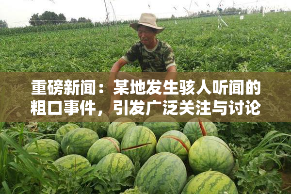重磅新闻：某地发生骇人听闻的粗口事件，引发广泛关注与讨论
