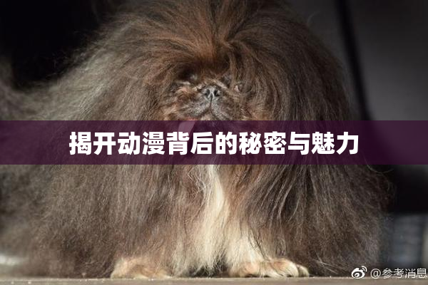揭开动漫背后的秘密与魅力