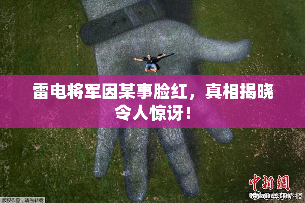 雷电将军因某事脸红，真相揭晓令人惊讶！