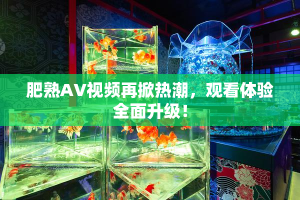 肥熟AV视频再掀热潮，观看体验全面升级！