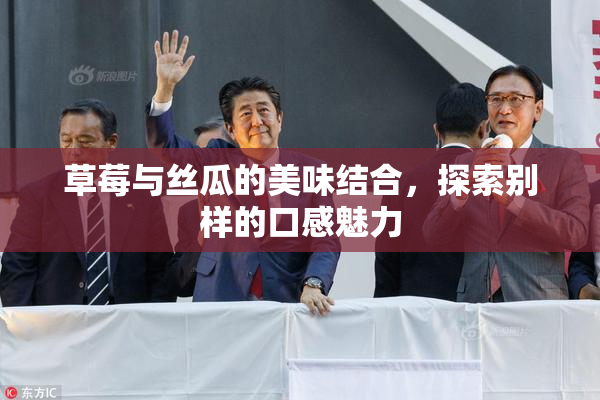 草莓与丝瓜的美味结合，探索别样的口感魅力