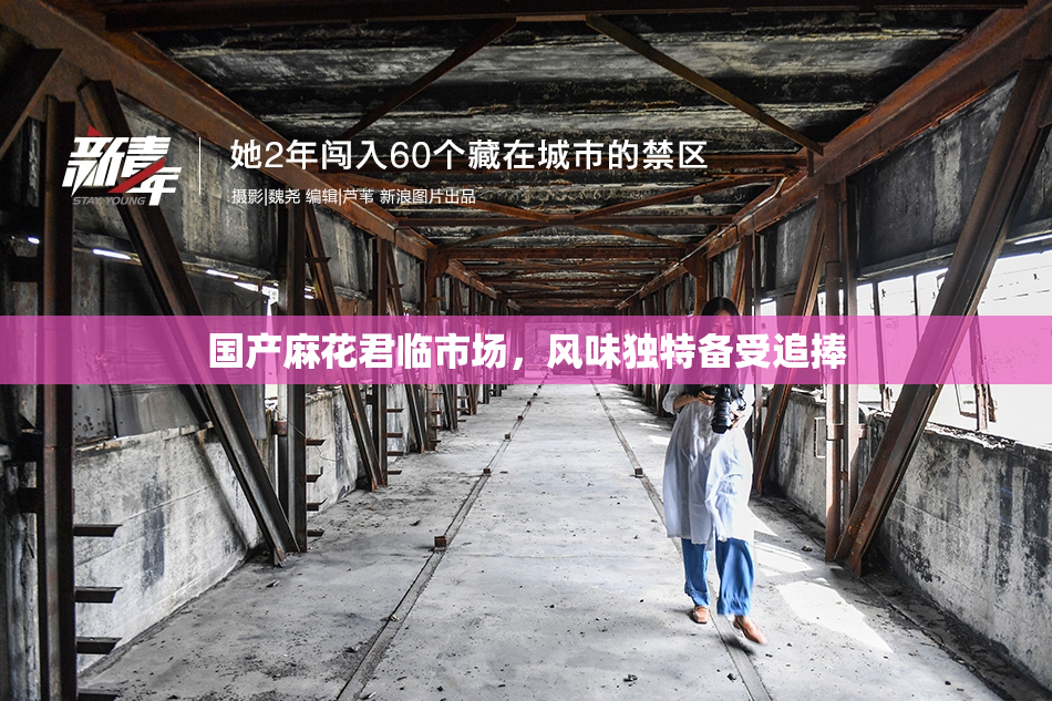国产麻花君临市场，风味独特备受追捧