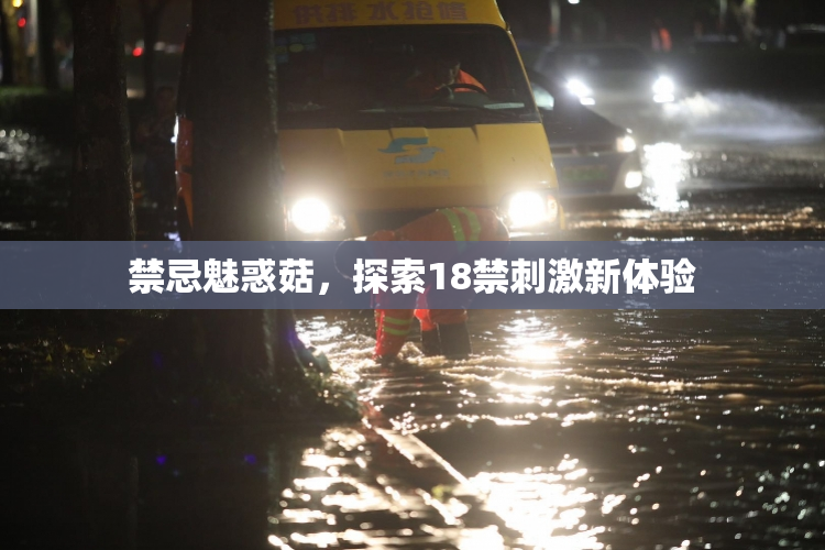 禁忌魅惑菇，探索18禁刺激新体验