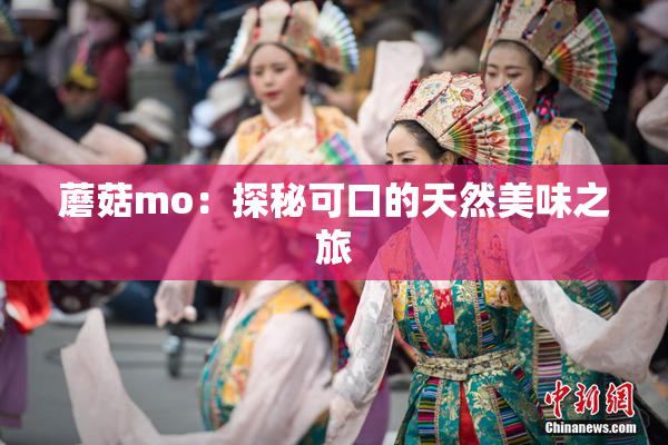 蘑菇mo：探秘可口的天然美味之旅