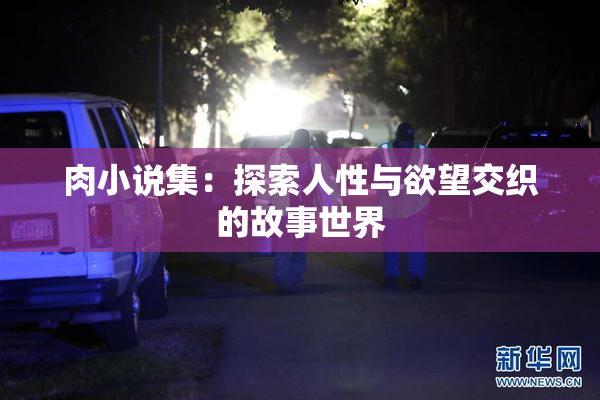 肉小说集：探索人性与欲望交织的故事世界