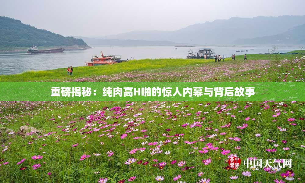 重磅揭秘：纯肉高H啪的惊人内幕与背后故事