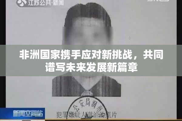 非洲国家携手应对新挑战，共同谱写未来发展新篇章