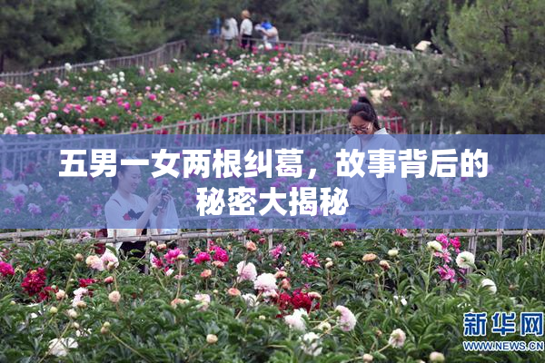 五男一女两根纠葛，故事背后的秘密大揭秘