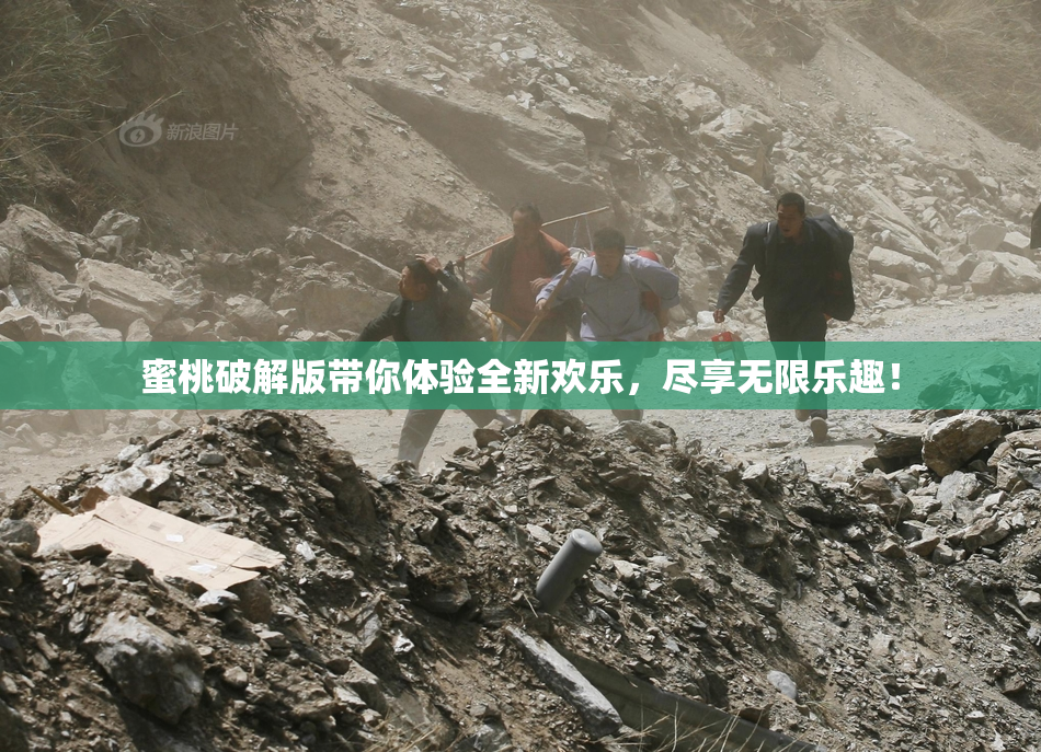 蜜桃破解版带你体验全新欢乐，尽享无限乐趣！