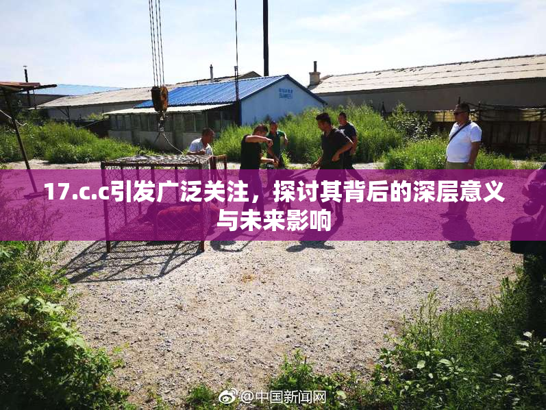 17.c.c引发广泛关注，探讨其背后的深层意义与未来影响