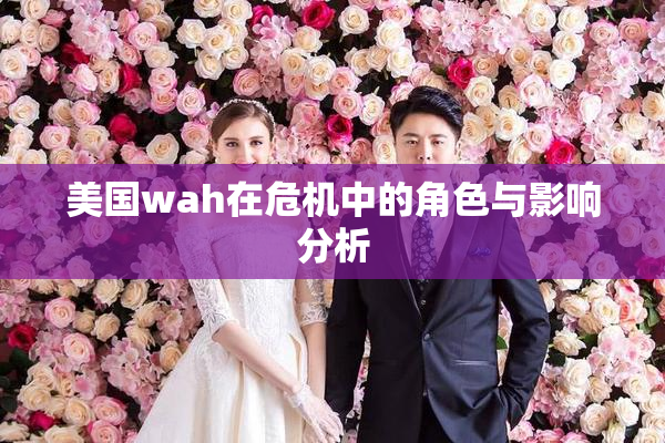 美国wah在危机中的角色与影响分析