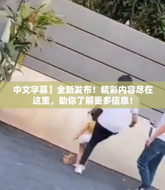 中文字幕】全新发布！精彩内容尽在这里，助你了解更多信息！