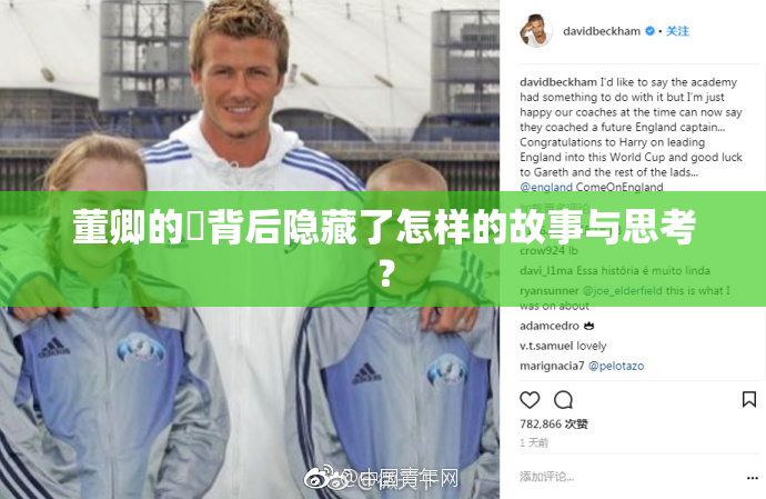 董卿的婬背后隐藏了怎样的故事与思考？