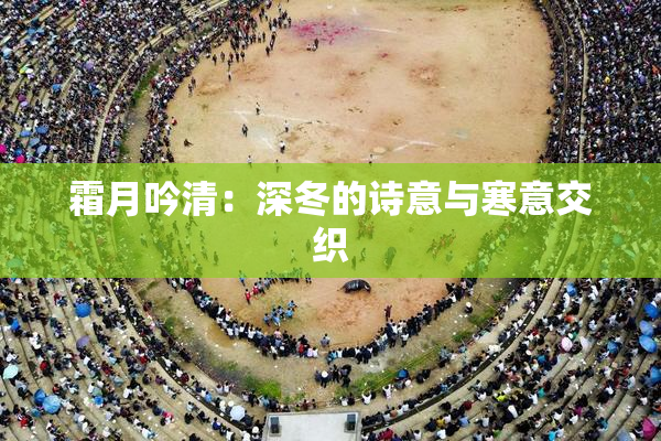 霜月吟清：深冬的诗意与寒意交织