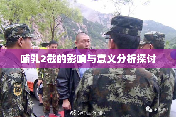 哺乳2截的影响与意义分析探讨