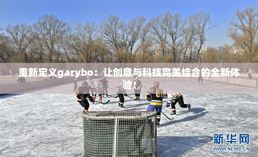 重新定义garybo：让创意与科技完美结合的全新体验！