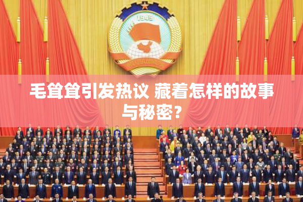 毛耸耸引发热议 藏着怎样的故事与秘密？