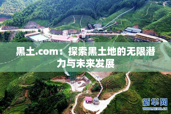 黑土.com：探索黑土地的无限潜力与未来发展