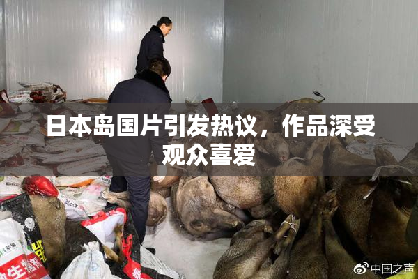 日本岛国片引发热议，作品深受观众喜爱