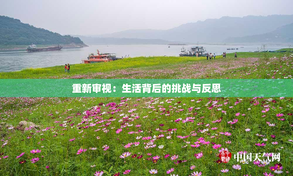 重新审视：生活背后的挑战与反思