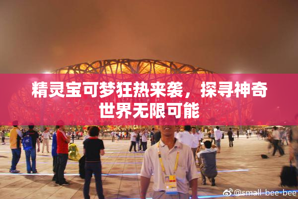 精灵宝可梦狂热来袭，探寻神奇世界无限可能