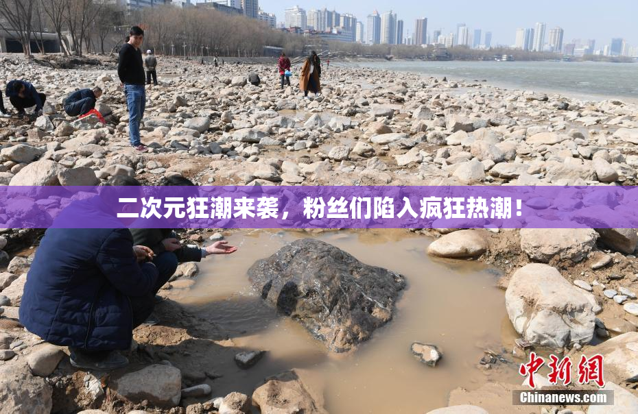 二次元狂潮来袭，粉丝们陷入疯狂热潮！
