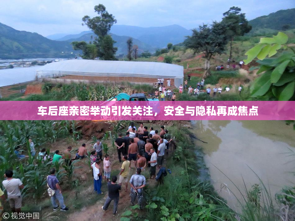 车后座亲密举动引发关注，安全与隐私再成焦点