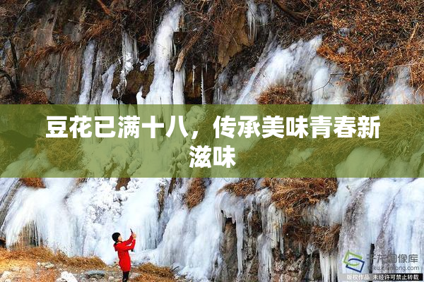 豆花已满十八，传承美味青春新滋味