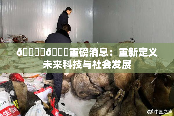 🔞‌🍌重磅消息：重新定义未来科技与社会发展