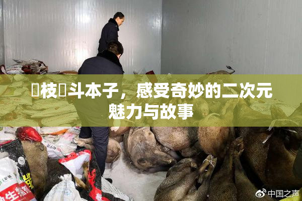 狛枝凪斗本子，感受奇妙的二次元魅力与故事