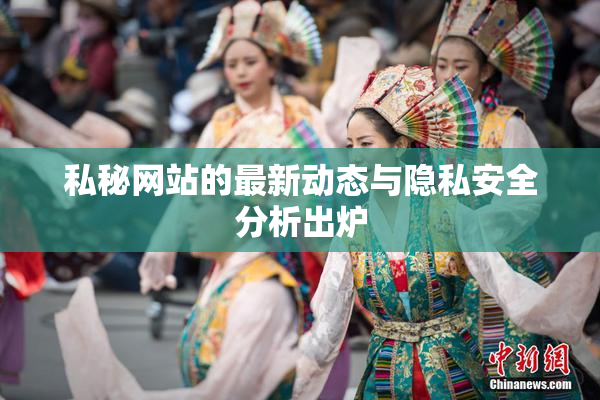 私秘网站的最新动态与隐私安全分析出炉