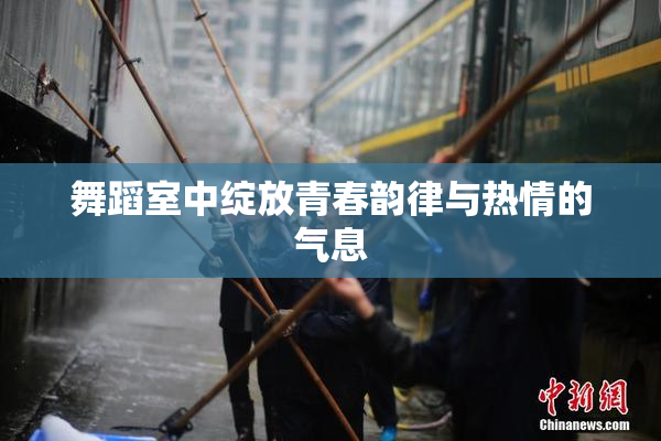 舞蹈室中绽放青春韵律与热情的气息