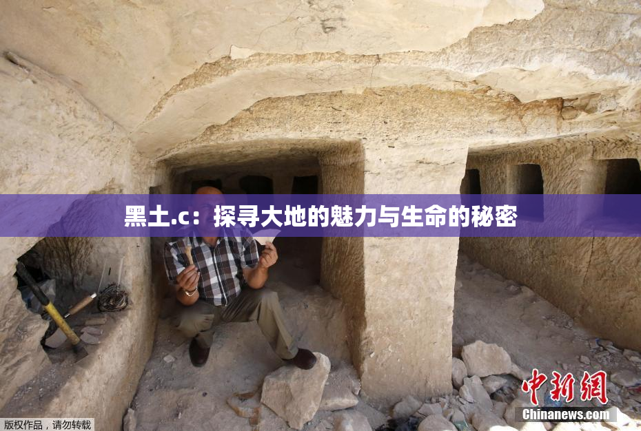 黑土.c：探寻大地的魅力与生命的秘密