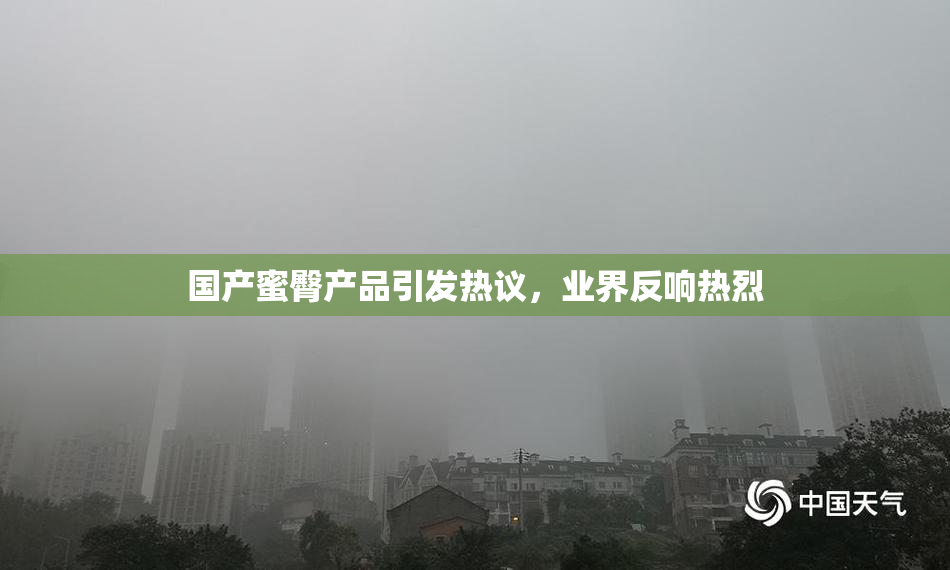 国产蜜臀产品引发热议，业界反响热烈
