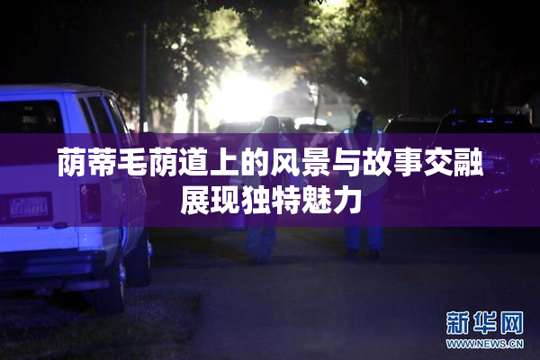 荫蒂毛荫道上的风景与故事交融展现独特魅力