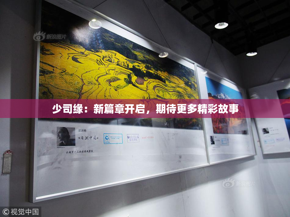 少司缘：新篇章开启，期待更多精彩故事