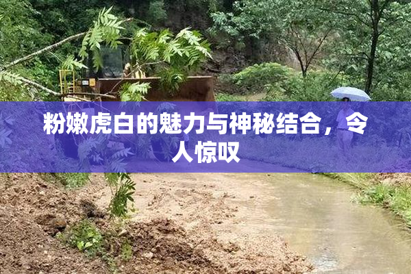 粉嫩虎白的魅力与神秘结合，令人惊叹
