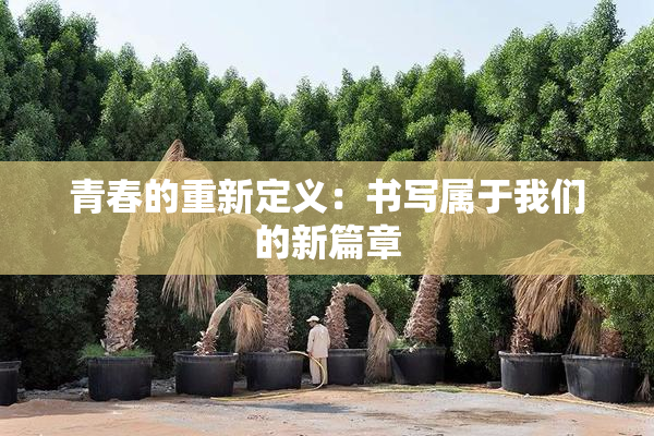 青春的重新定义：书写属于我们的新篇章