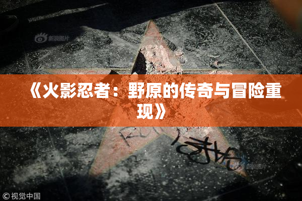 《火影忍者：野原的传奇与冒险重现》