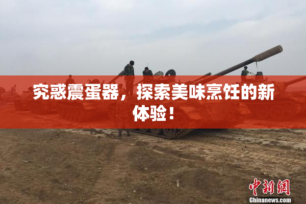 究惑震蛋器，探索美味烹饪的新体验！