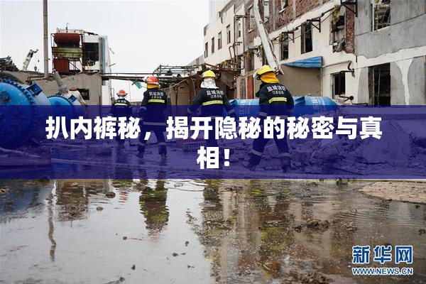 扒内裤秘，揭开隐秘的秘密与真相！