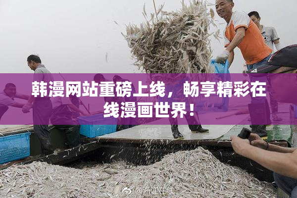 韩漫网站重磅上线，畅享精彩在线漫画世界！