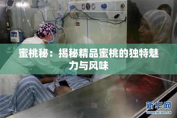 蜜桃秘：揭秘精品蜜桃的独特魅力与风味