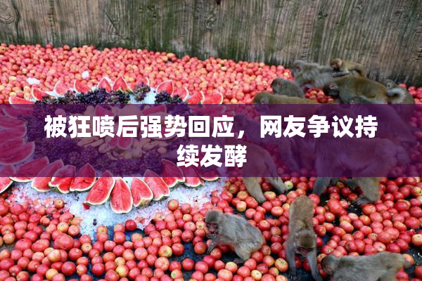 被狂喷后强势回应，网友争议持续发酵